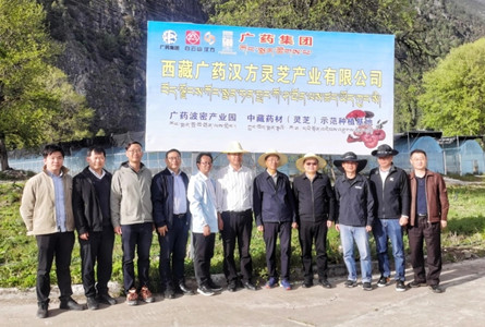 科技帮扶带动特色产业，成果转化促进高质量发展